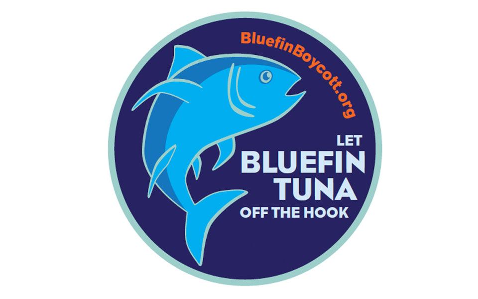 bluefin-tuna